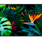 What Makes a Samsung 55-inch Smart TV Worth Buying?