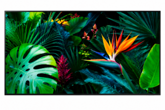 What Makes a Samsung 55-inch Smart TV Worth Buying?