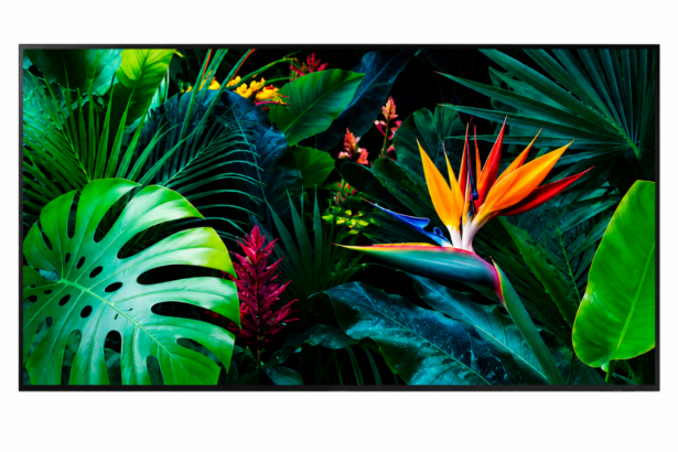 What Makes a Samsung 55-inch Smart TV Worth Buying?